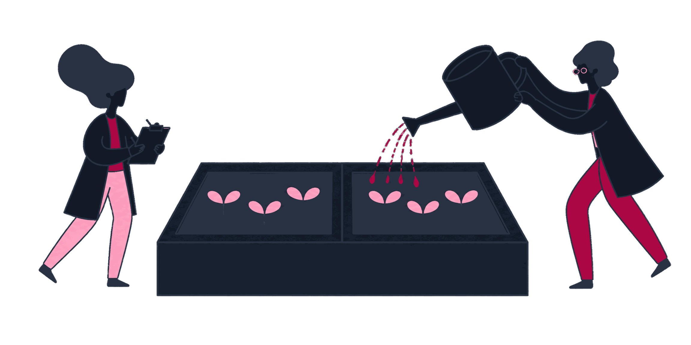 A scientist running a split test: two identical plots, one watered