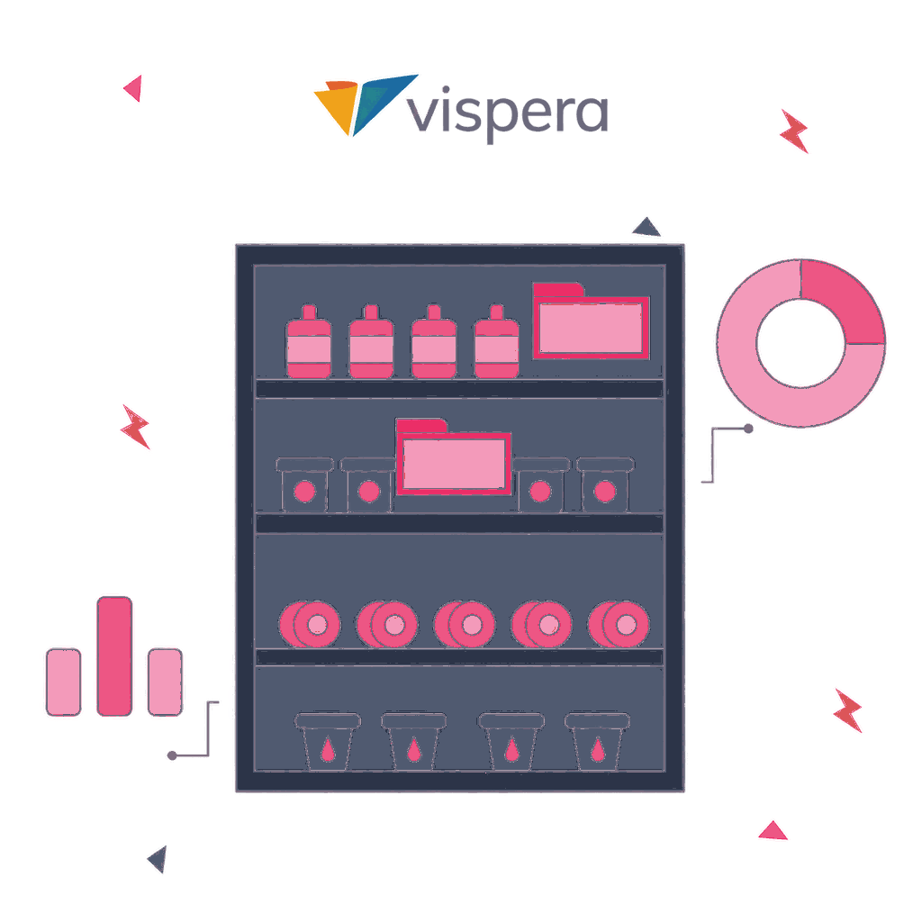 Vispera SEO Case Study