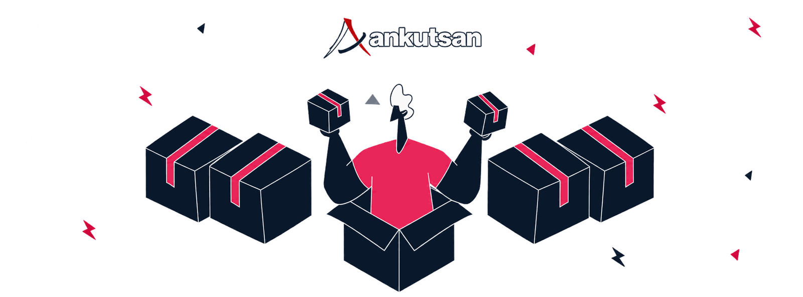 Ankutsan SEO Case Study