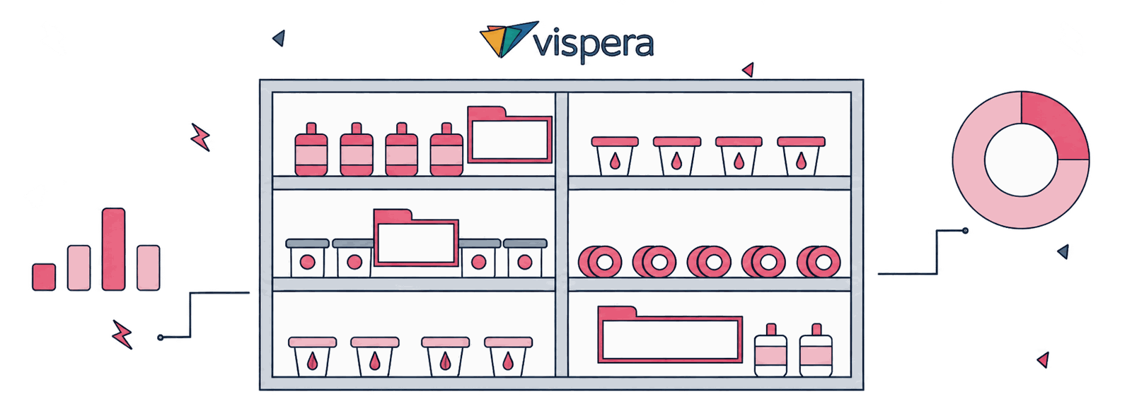 Vispera SEO Case Study