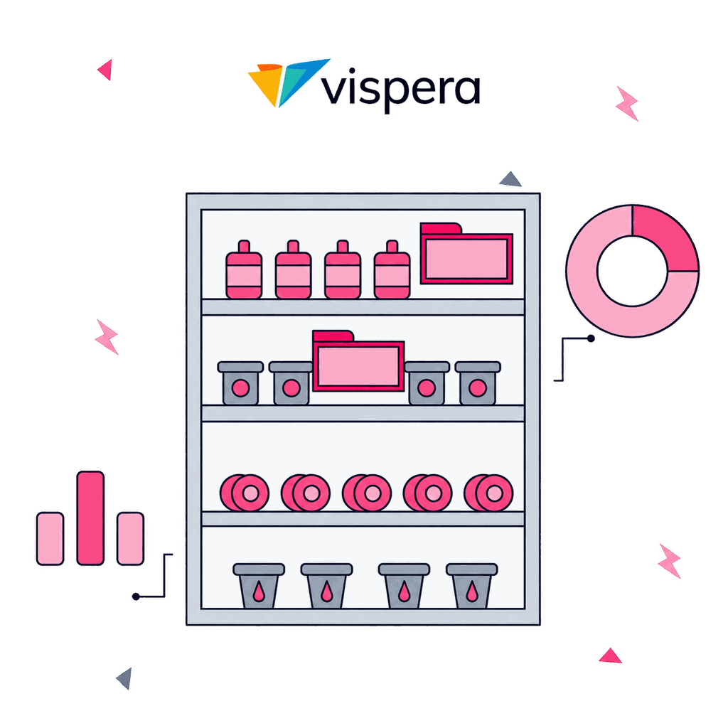 Vispera SEO Case Study