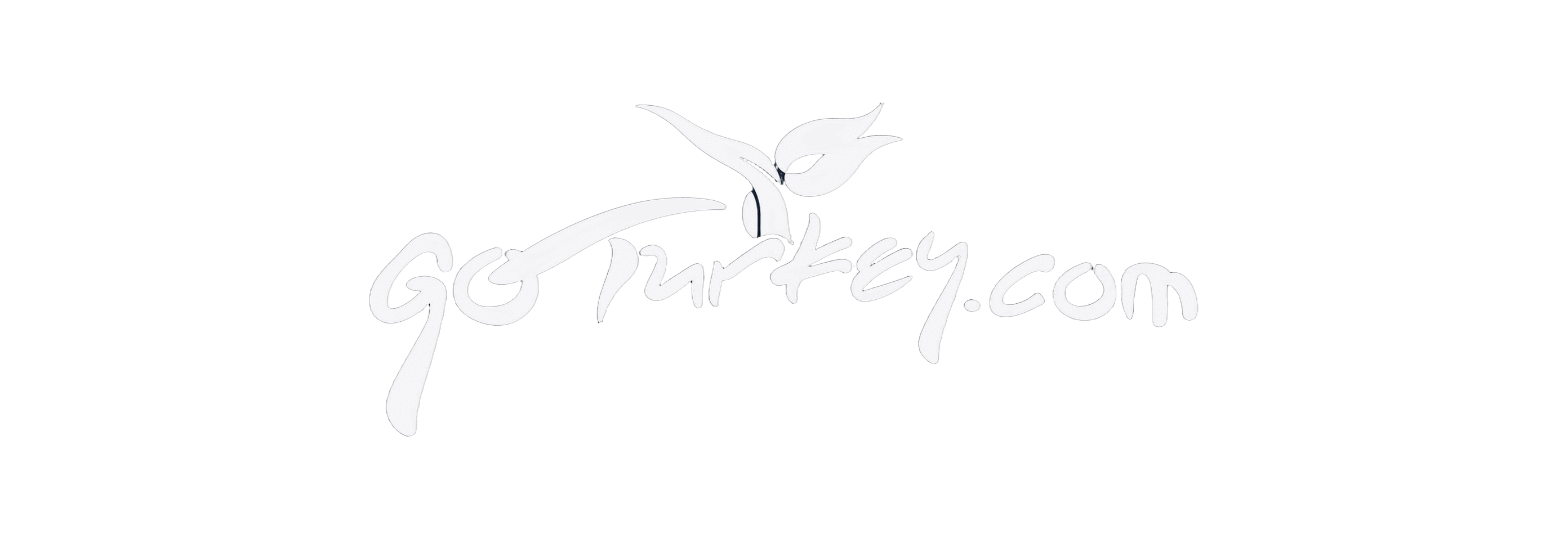 GoTürkiye