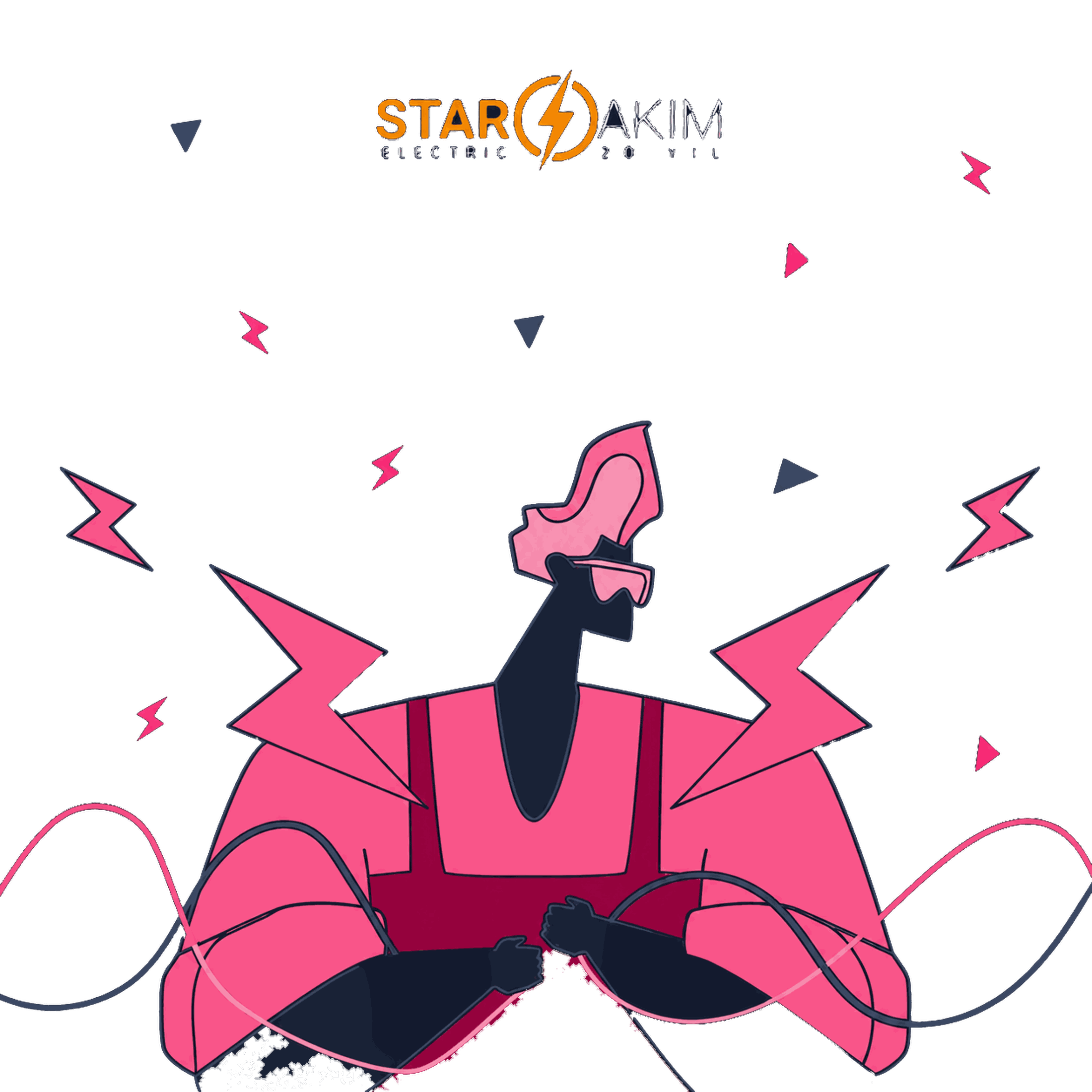 Star Akım SEO Case Study