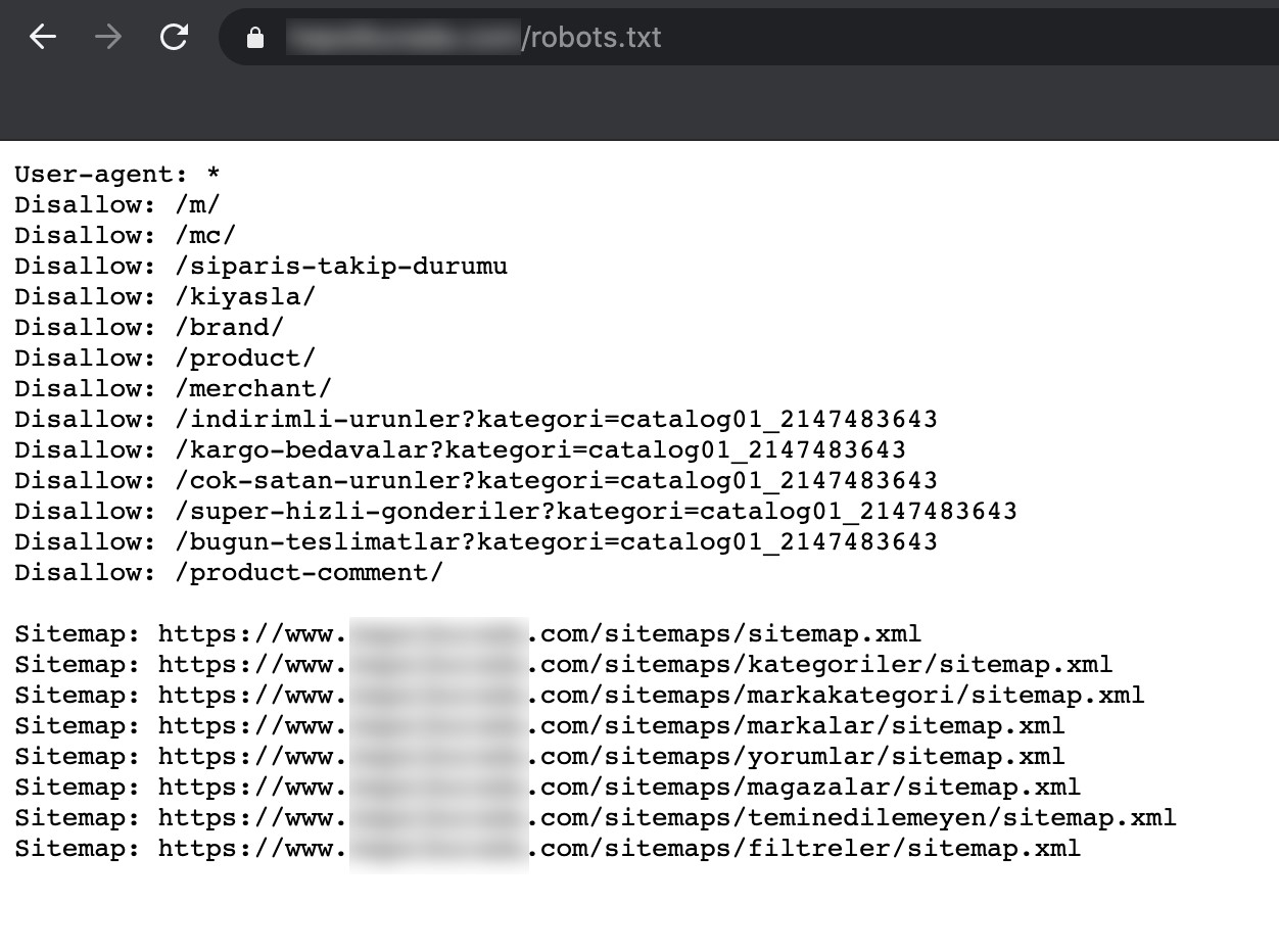 Robots txt dosyasi