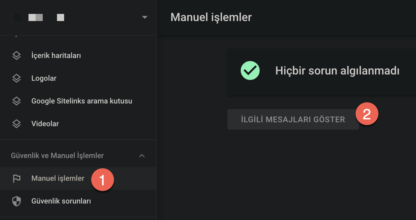 Google cezalari penalties1