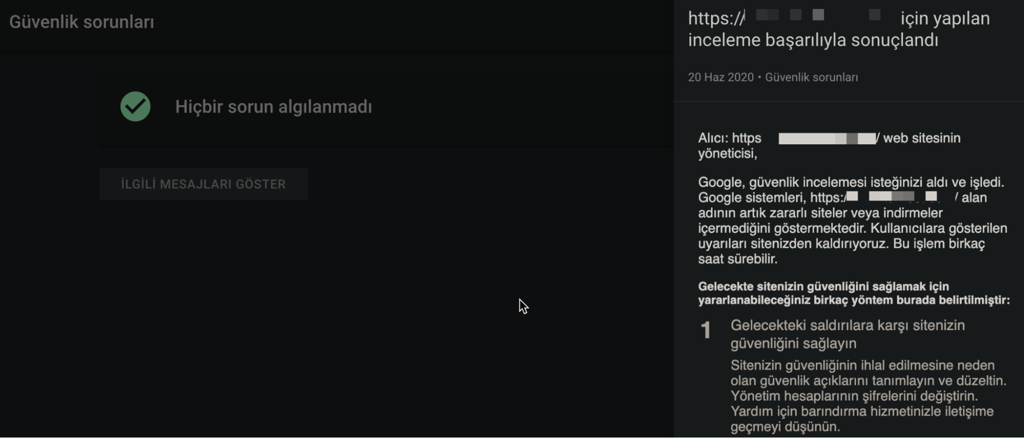 Google cezalari penalties10