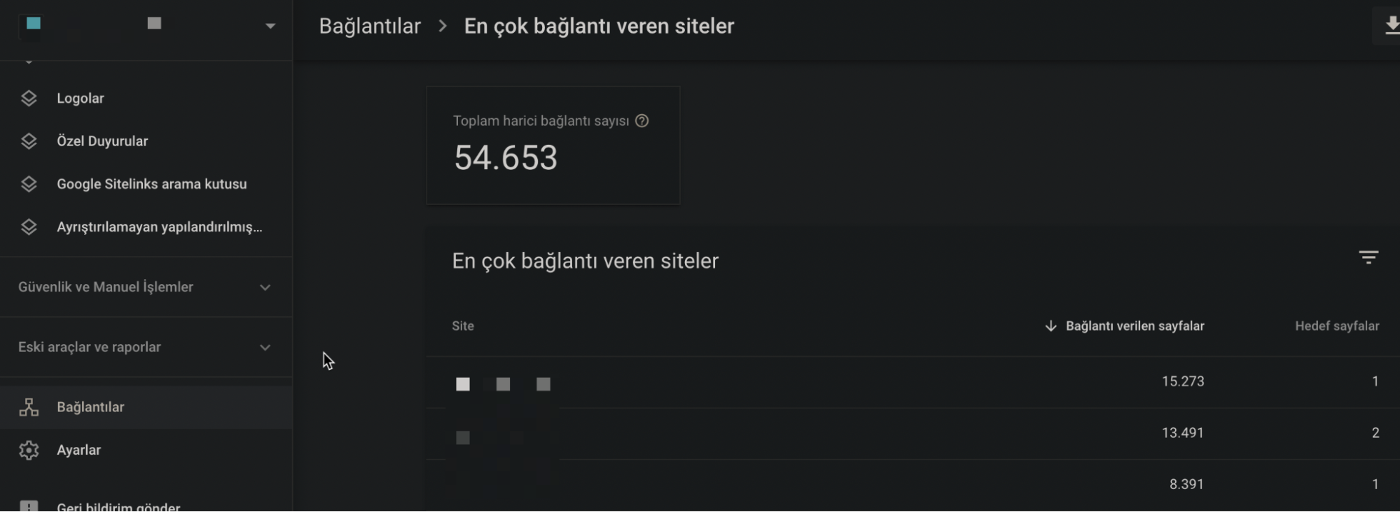 Google cezalari penalties15