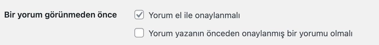 Google cezalari penalties20