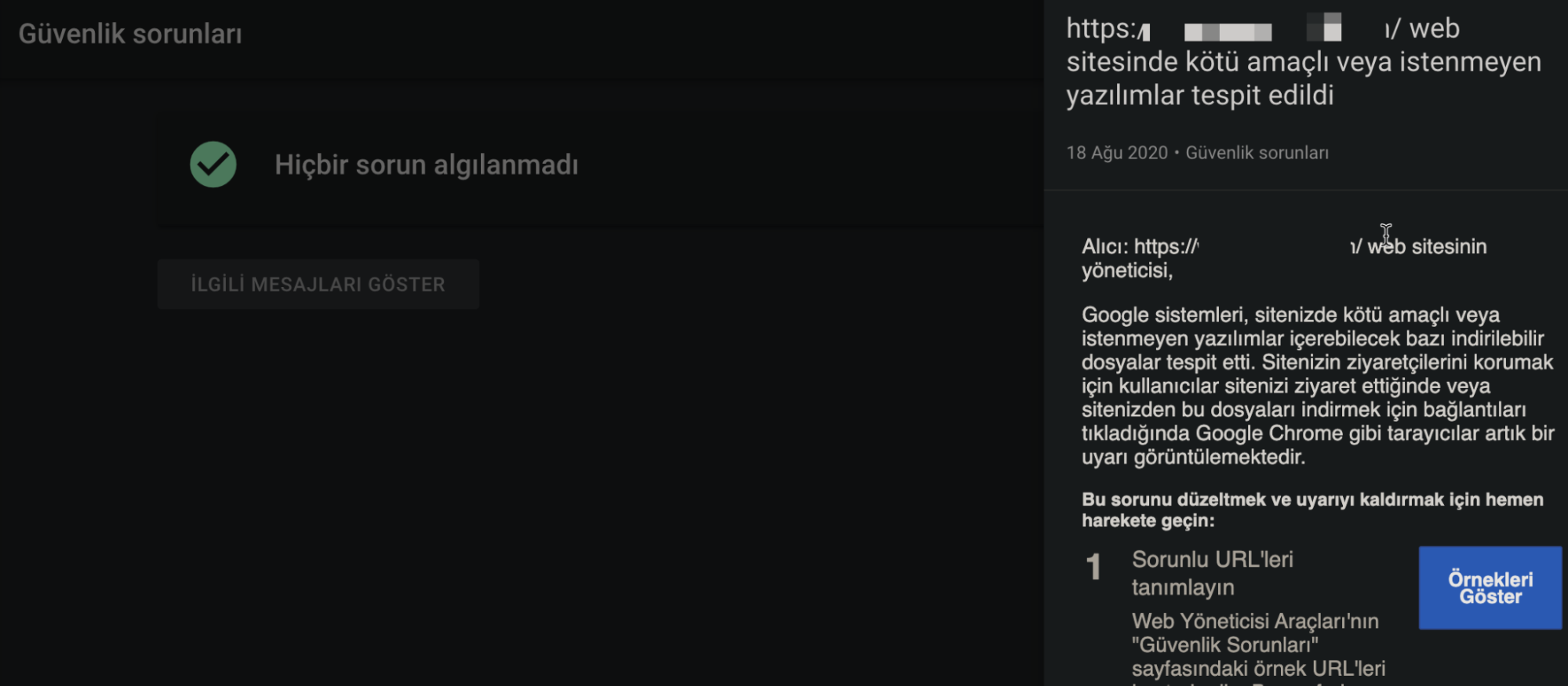 Google cezalari penalties22