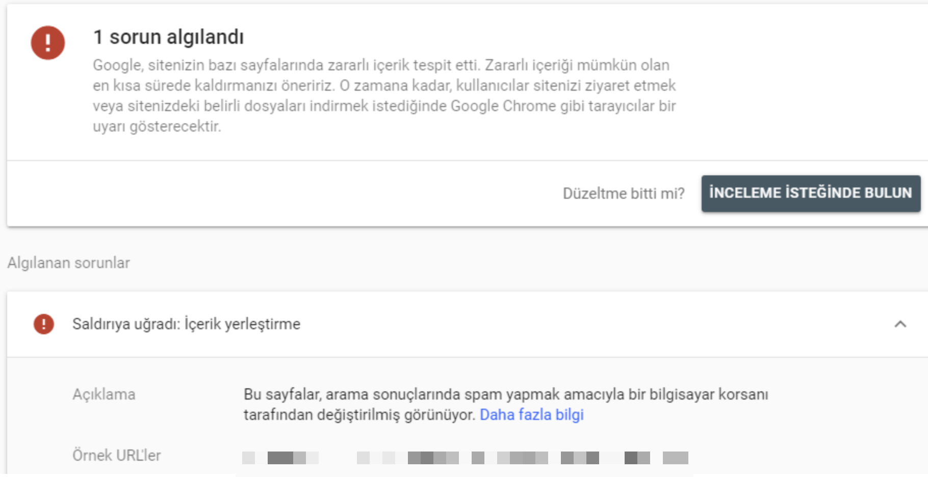Google cezalari penalties45