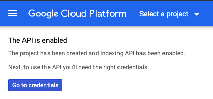 1647286657 node js google index api7