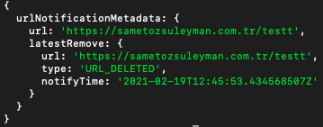 1647286730 node js google index api31