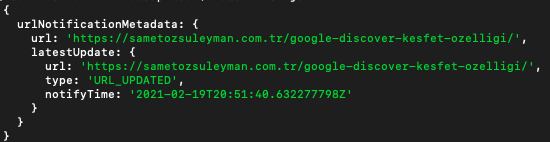 1647286666 node js google index api11