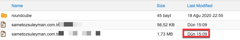 1647286685 node js google index api18