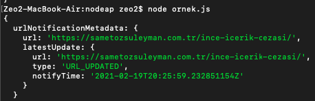 1647286674 node js google index api14