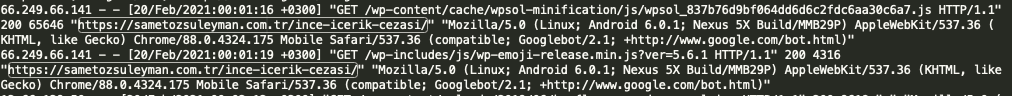 1647286736 node js google index api33