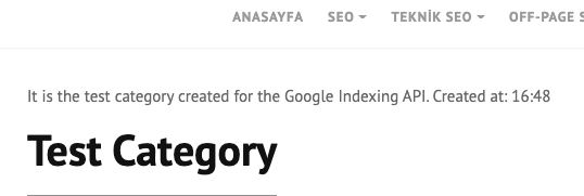 1647286648 node js google index api4