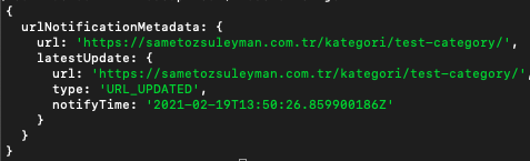 1647286650 node js google index api5