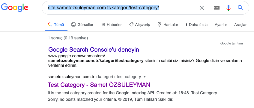 1647286682 node js google index api17