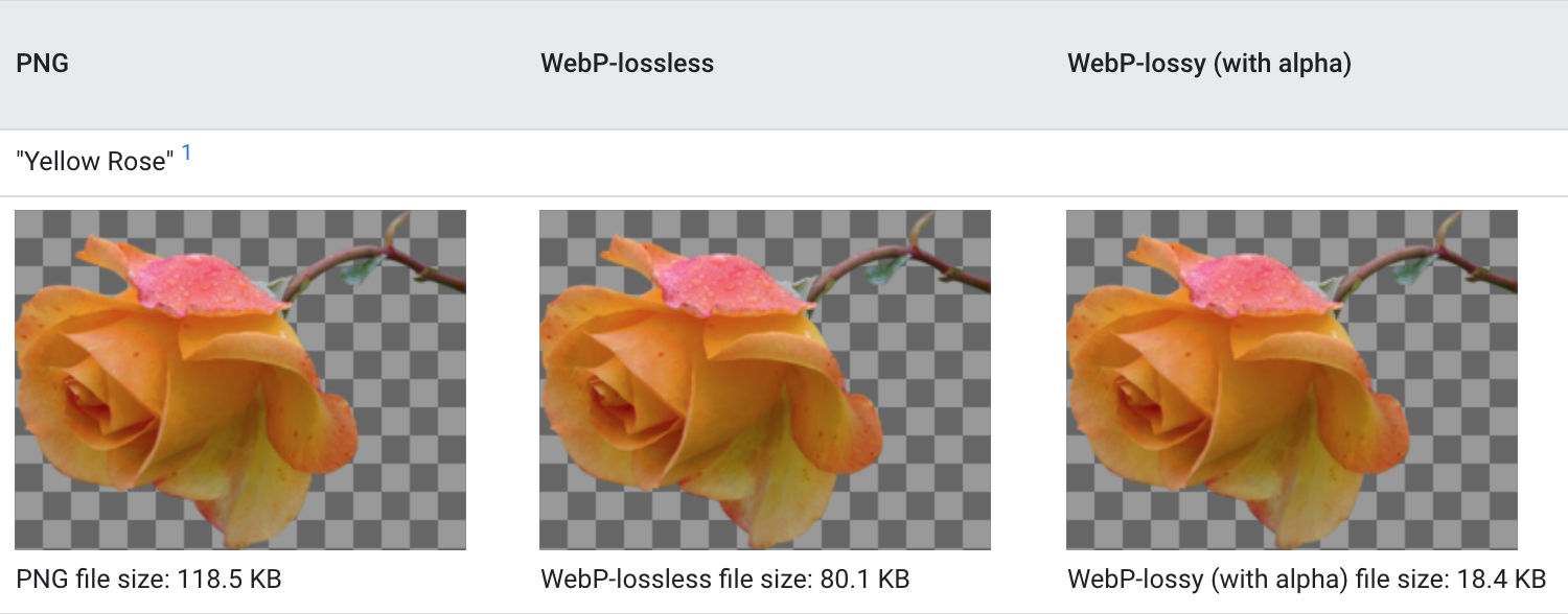 1647199614 webp and webm4