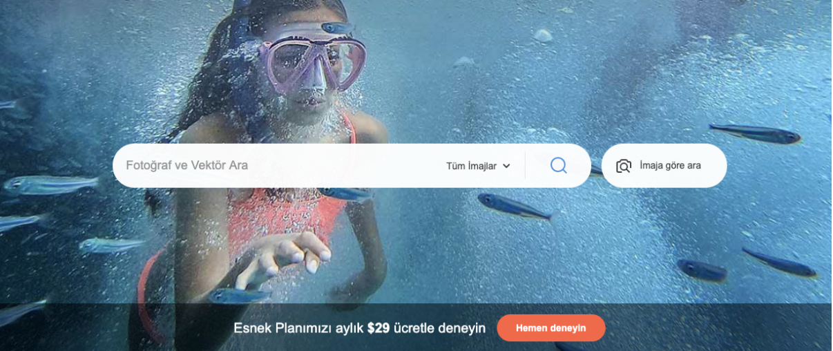1647184736 10 adimda gorsel optimizasyonu 13