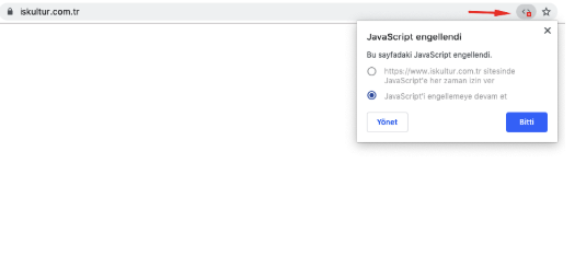 1580049906 wp 2019 11 js kapali