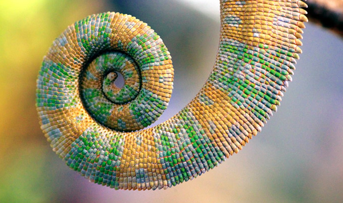 Long tail keywords