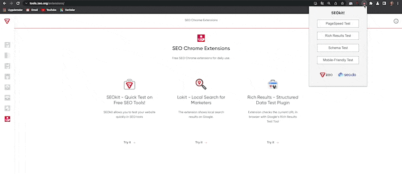 Chrome extension4