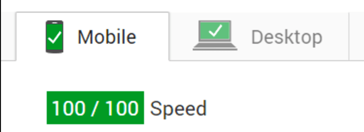 Page speed 100