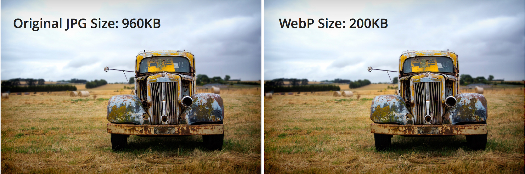 Webp