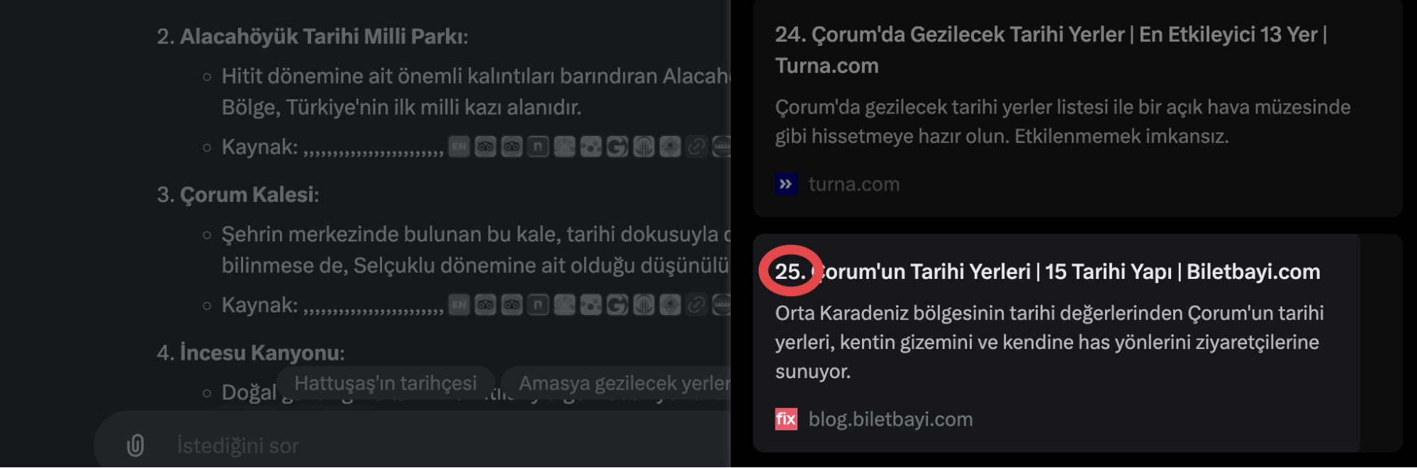 Grok websearch5