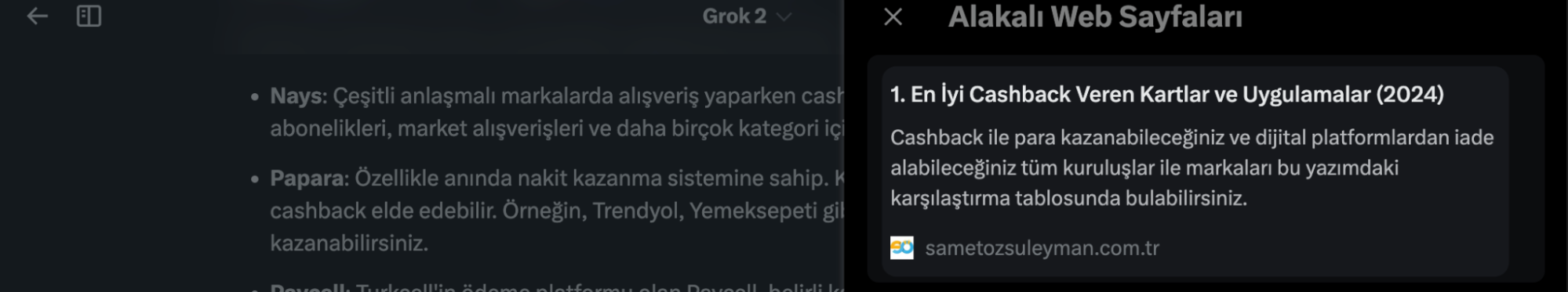 Grok websearch3