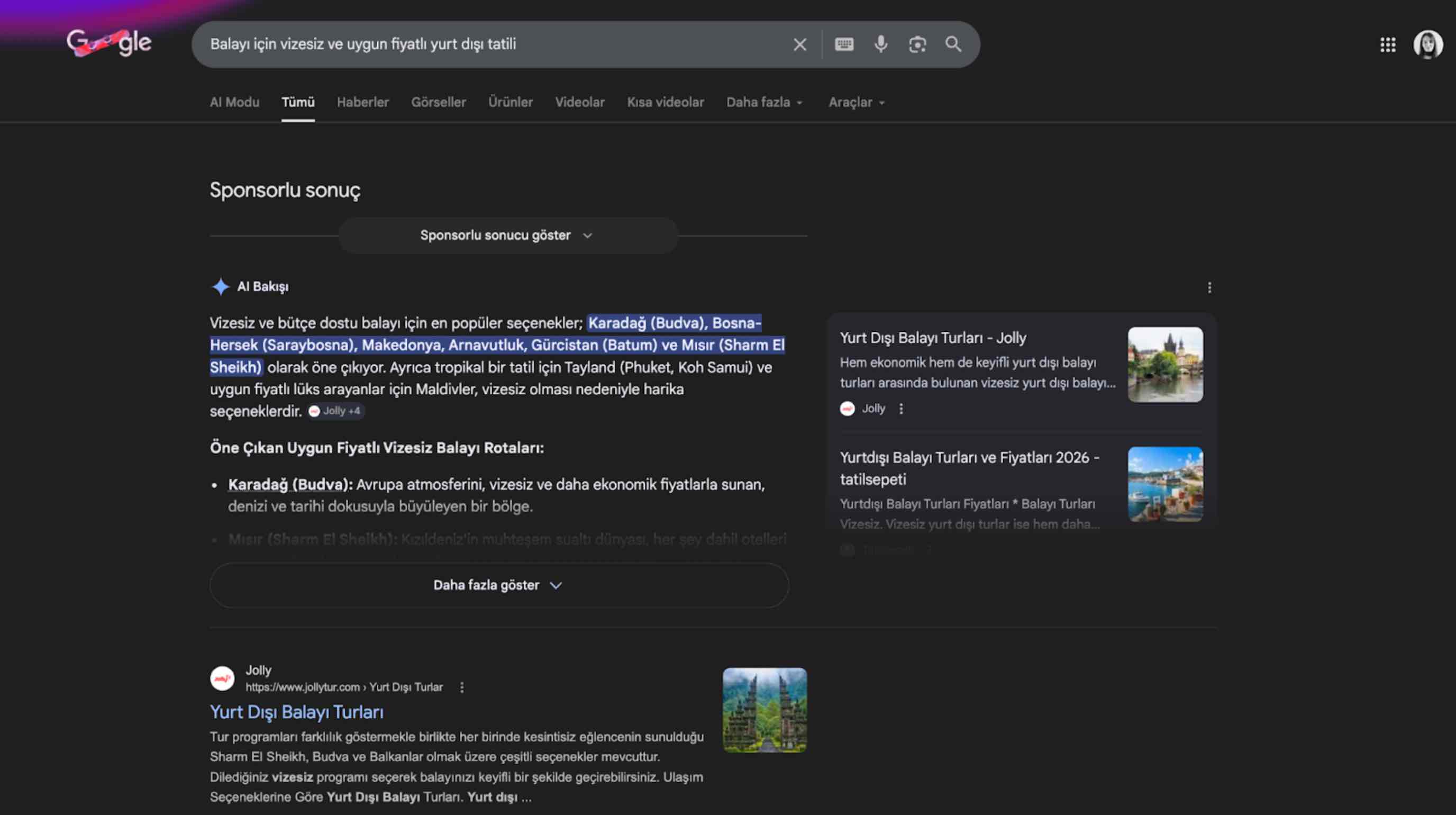 Ai overview ai mode turkiye