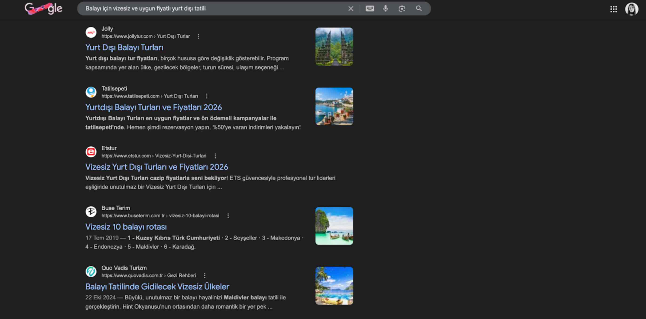 Ai overview ai mode turkiye 1
