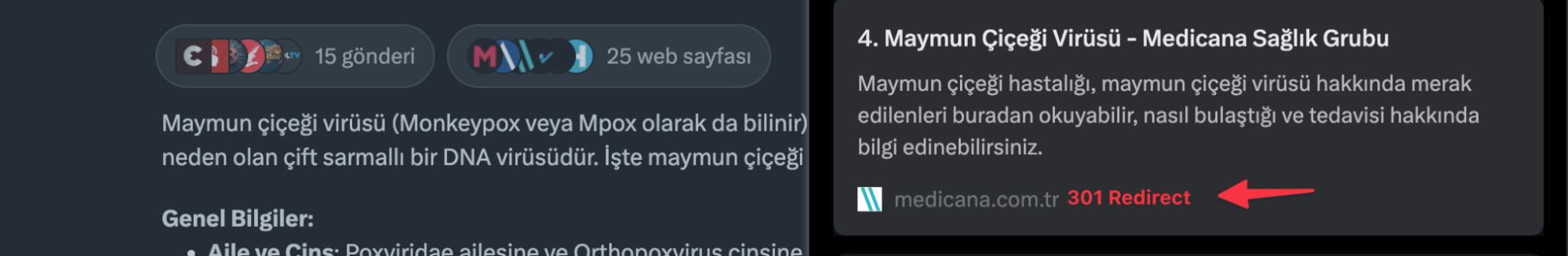 Grok websearch11