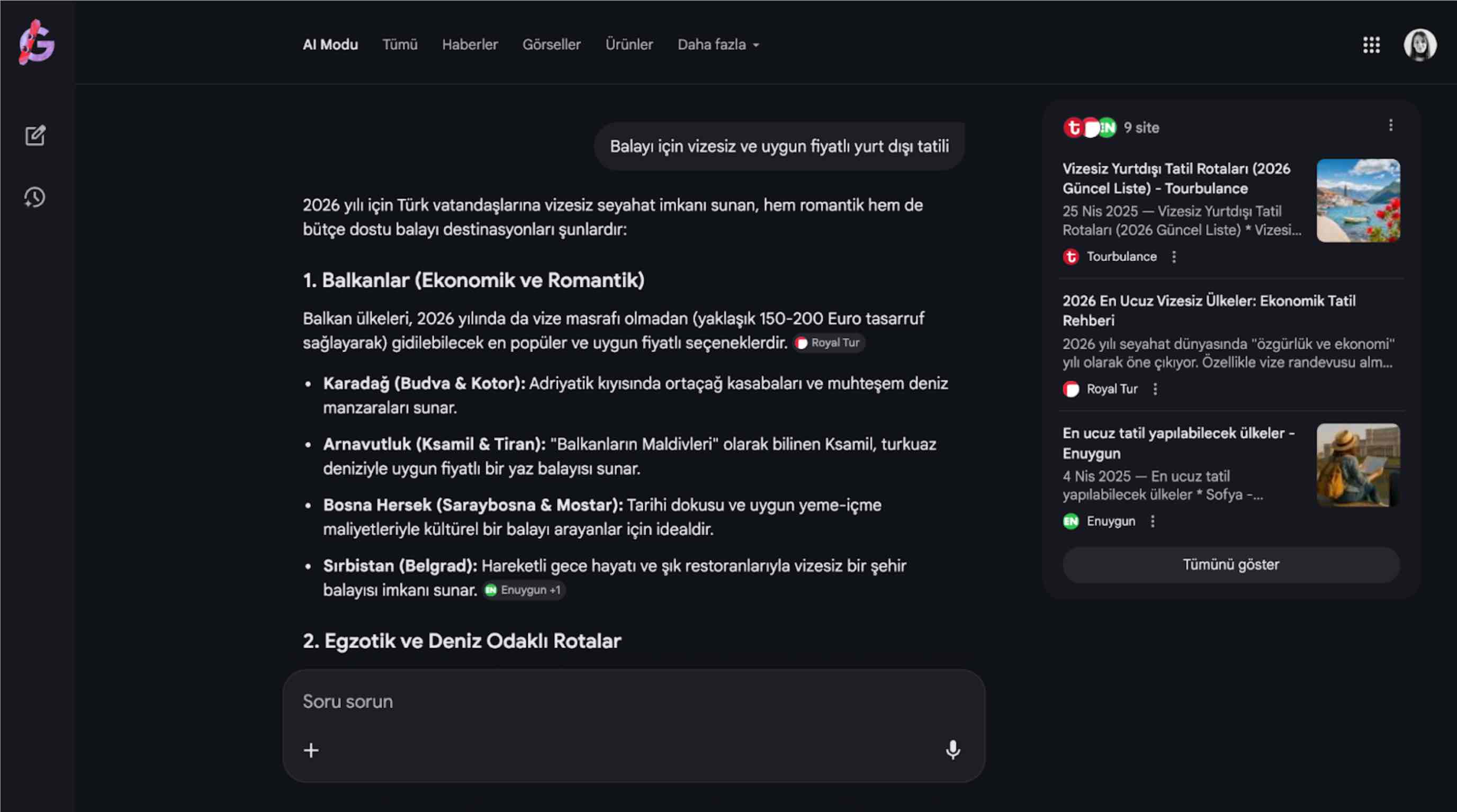 Ai overview ai mode turkiye 2