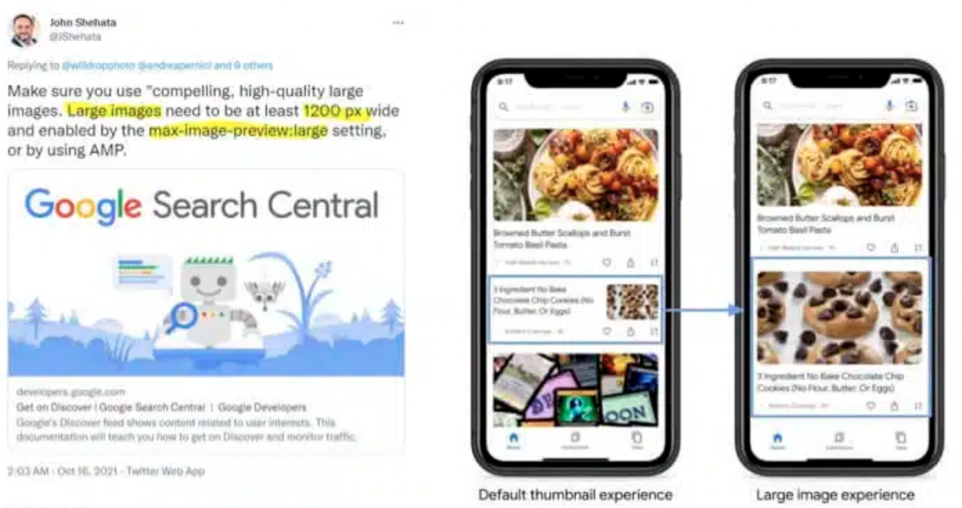 Google discover1