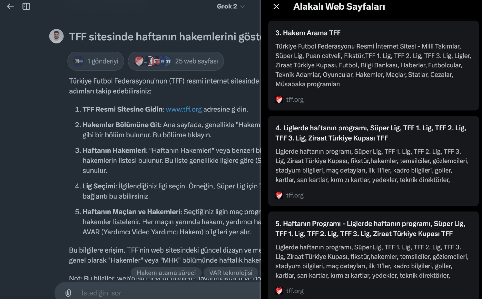 Grok websearch1