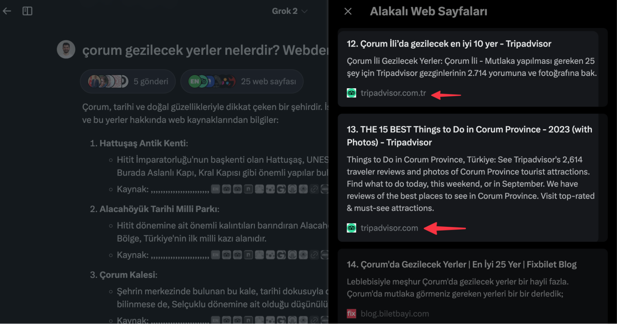 Grok websearch14