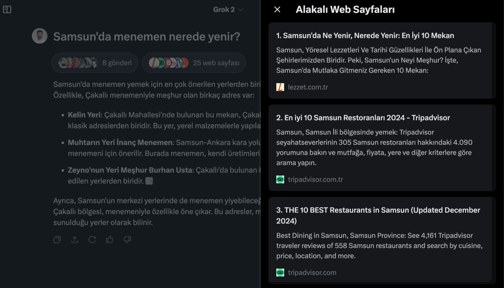 Grok websearch2